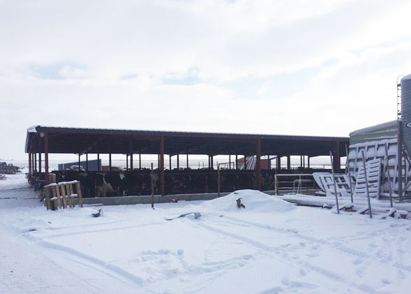 a red and gray industrial steel building